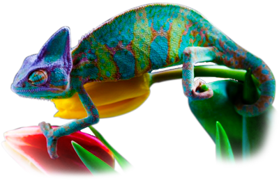 camaleon-psicologia-del-color