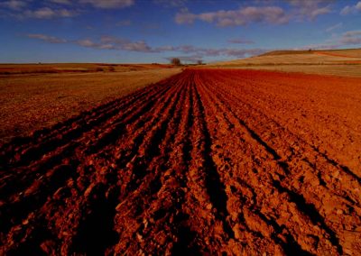 Psicología del marrón tierra