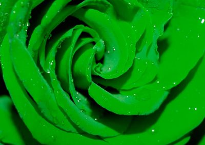 Psicología del color verde brillante