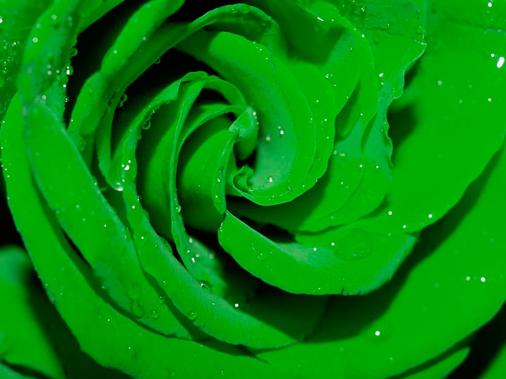 Psicología del color verde brillante