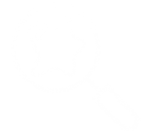 Lupa