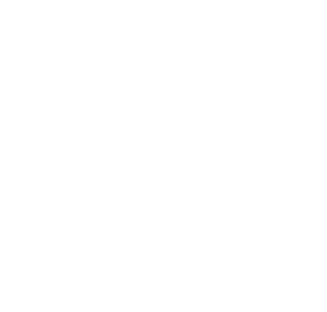 Cerebro