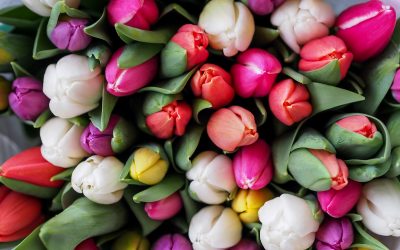 El color de la primavera y cómo nos hace sentir
