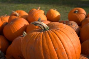 los colores en halloween