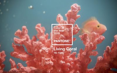 Living Coral: color del año 2019