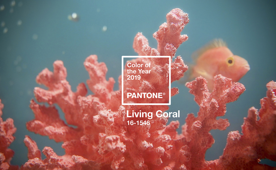 Living Coral: color del año 2019