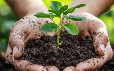 El verde en la ecopsicología: más allá del wellness